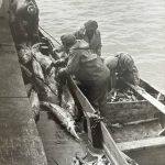 Калмыцкие рыбаки ударно трудились и во время войны