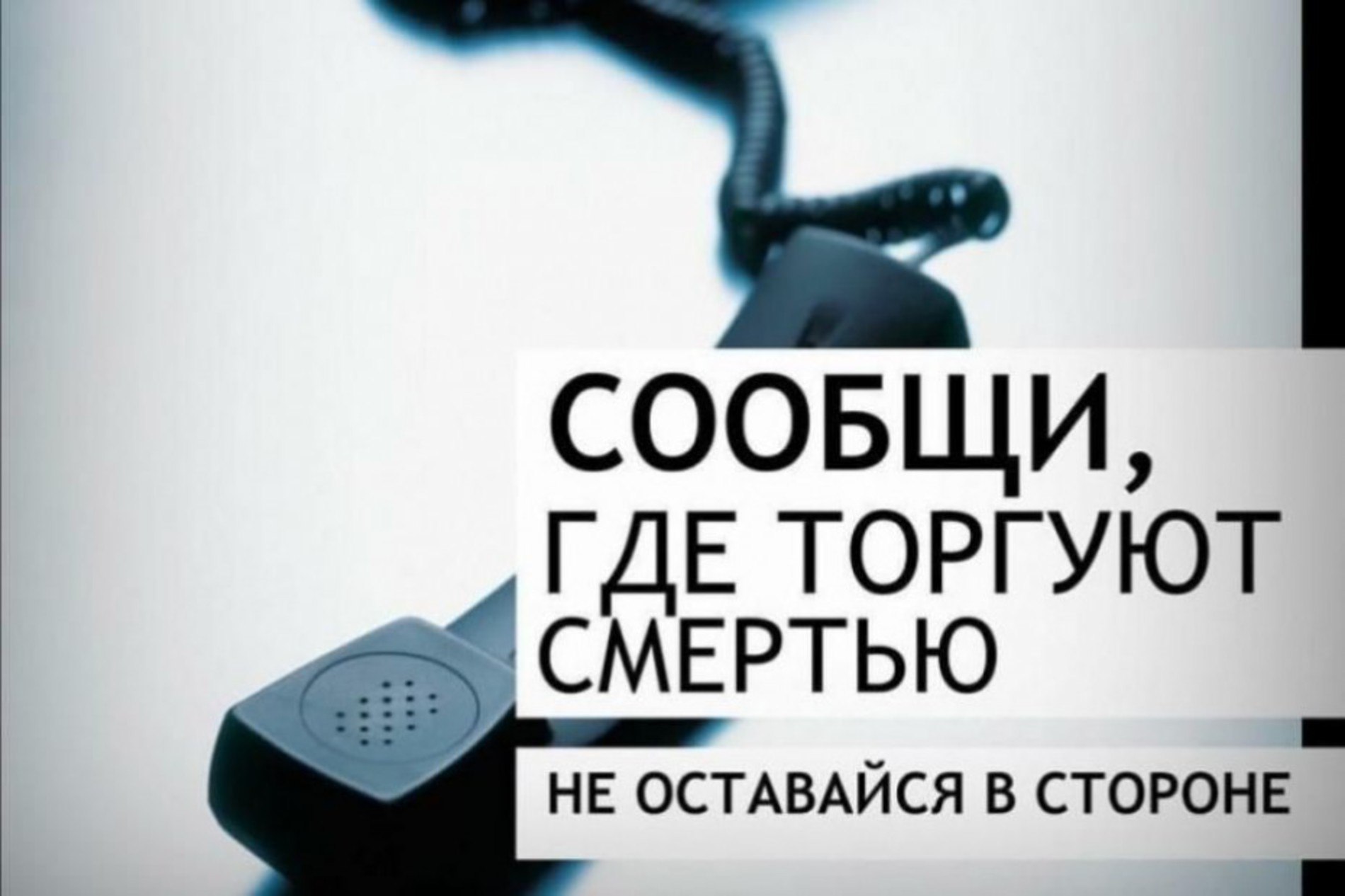 В Калмыкии стартовала всероссийская антинаркотическая акция «Сообщи, где  торгуют смертью» - Степные вести