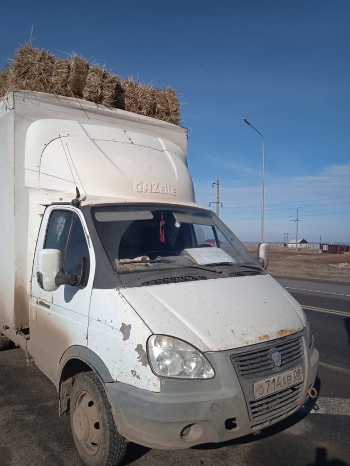 Пенза дагестан поезд