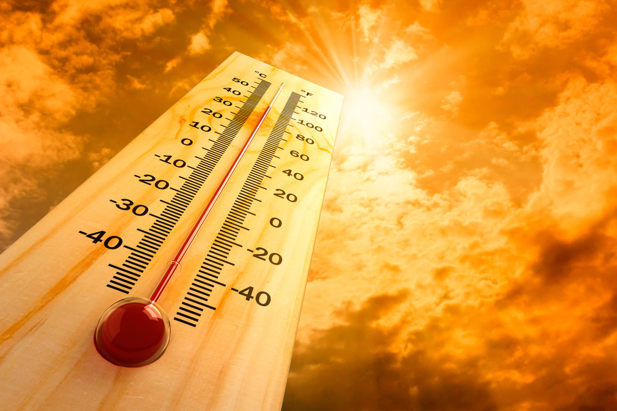 Жара в Калмыкии поднимется до +42°C | 06.07.2023 | Новости Элисты -  БезФормата