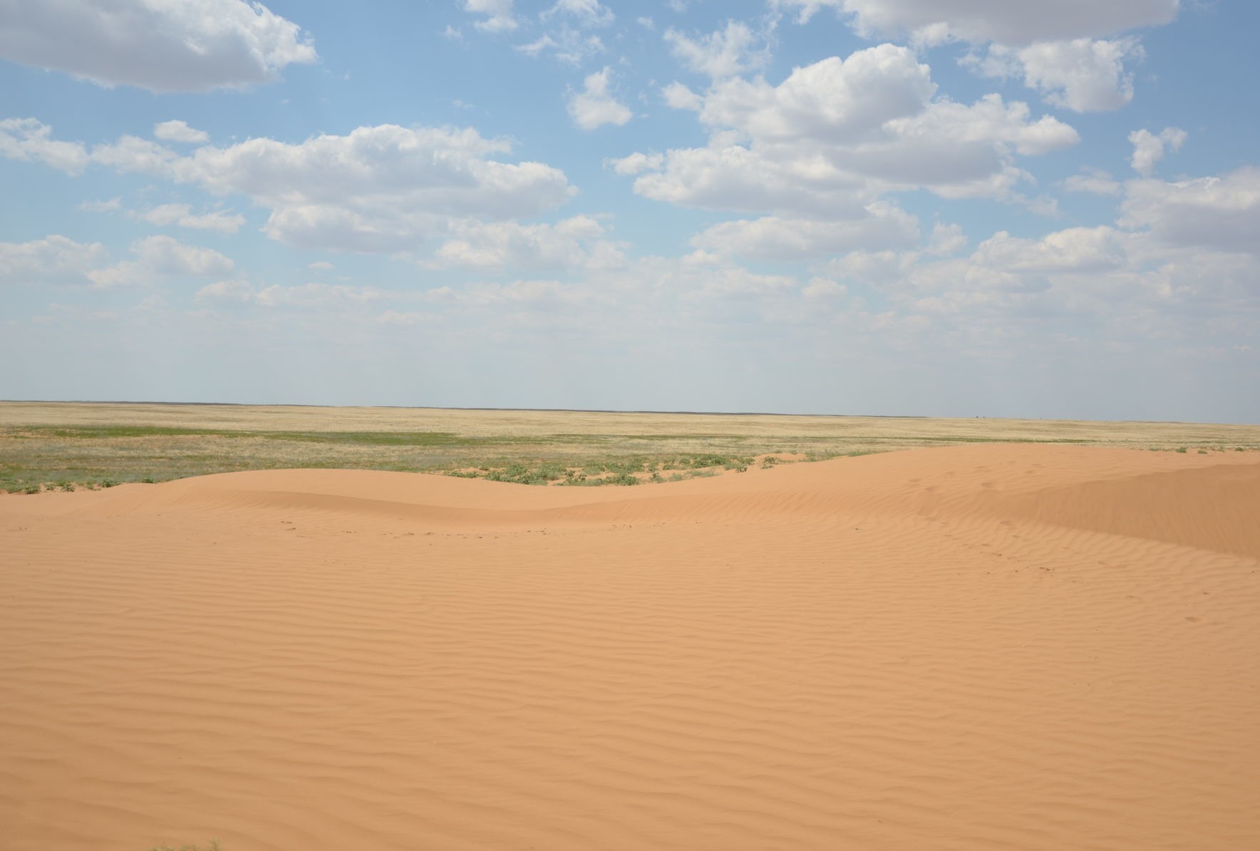 Пустыня в калмыкии фото