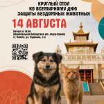 В Калмыкии на круглом столе обсудят проблемы бездомных животных