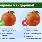 Жителям Калмыкии перед Новым годом дали советы по мандаринам  