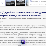 В Калмыкии домашних животных обяжут чипировать и ставить на учет