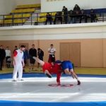 Калмыцкие полицейские состязались в самбо 