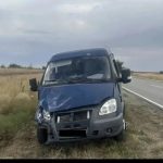 В Калмыкии зафиксировали случаи ДТП с участием сельхозживотных