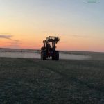 В Калмыкии продолжается борьба с саранчой