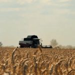 В Калмыкии продолжается уборка зерновых культур 