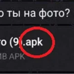 Жительницу Калмыкии обокрал студент из Омска