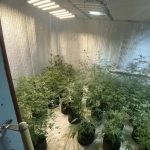 Жителя Калмыкии подозревают в незаконном обороте наркотиков  