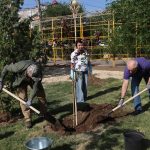 Аллея Героев в Элисте зацветет к весне красным