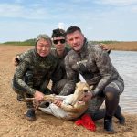 В Калмыкии сайгаков пометили спутниковыми передатчиками
