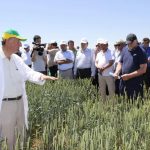 Борис Гольдварг: агроном от Бога