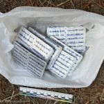 В Элисте сотрудники полиции пресекли факт незаконного оборота сильнодействующих веществ