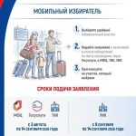Как избирателям Калмыкии проголосовать на выборах не по месту прописки