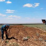Сотрудники МЧС Калмыкии провели мониторинг пожароопасной обстановки