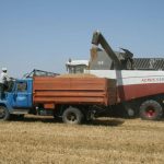 Аграрии Калмыкии завершают уборку зерновых культур 