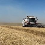 В Яшалтинском районе Калмыкии завершается уборка зерновых