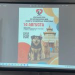 В Элисте обсудили гуманные пути решения проблемы бездомных животных: итоги круглого стола