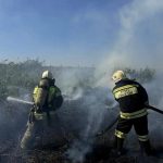 В Калмыкии потушили ландшафтный пожар
