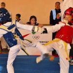 В Калмыкии подвели итоги турнира «Кубок кочевников»
