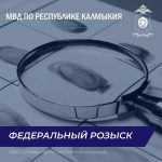 В Калмыкии задержали злостного алиментщика
