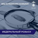 Полицейские Калмыкии задержали находящихся в федеральном розыске граждан