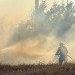 В Элисте горела сухая трава