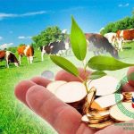 Фермеры Калмыкии могут получить субсидии из республиканского бюджета