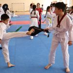  В Элисте соревновались тхэквондисты Калмыкии 