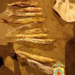 Жителя Калмыкии подозревают в незаконной рыбалке