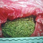 В одном поселке Калмыкии выявили два факта хранения наркотиков