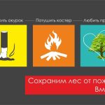 В Калмыкии ввели запрет на посещение лесов