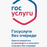 Жители Калмыкии все чаще выбирают получение услуг в электронном виде