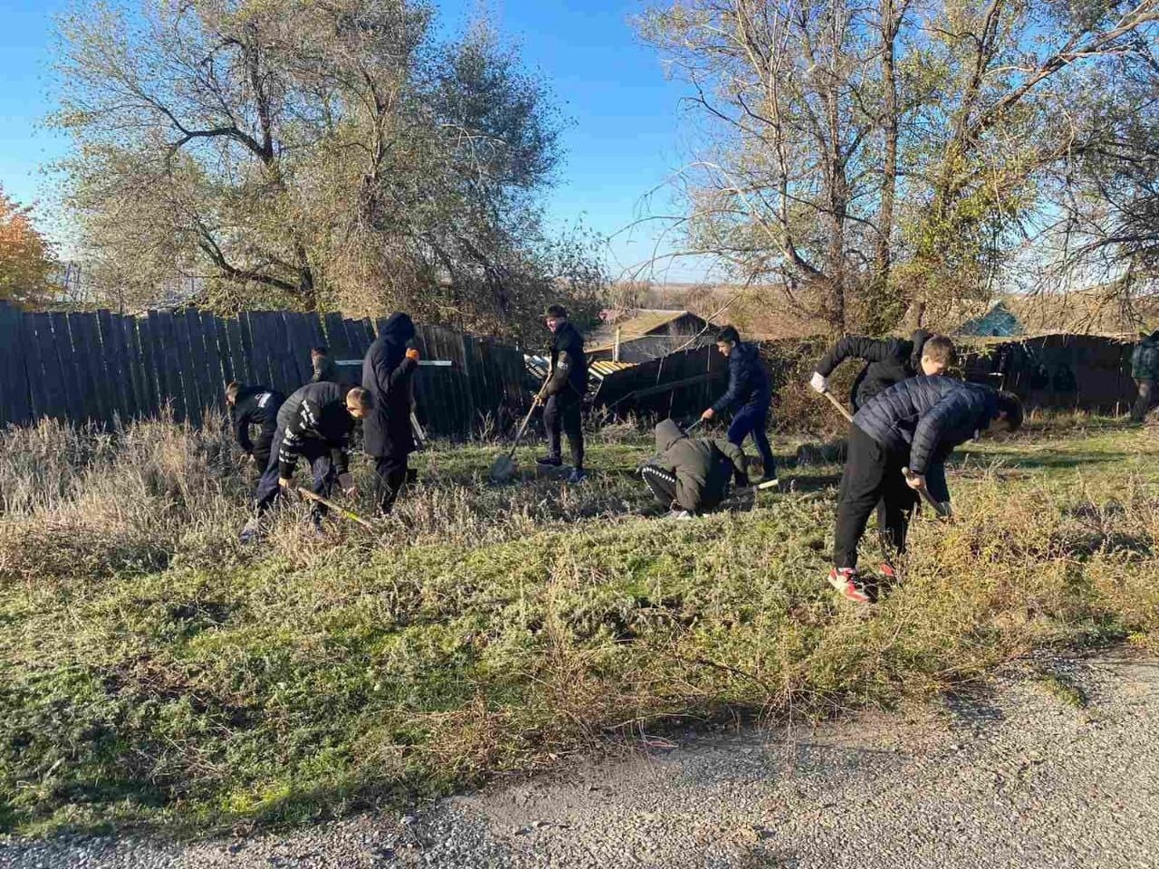 Погода в аршань зельмень. Леса Калмыкии. Сарпинское районное муниципальное образование Республики Калмыкия. Животноводство в Сарпинском районе Калмыкия.