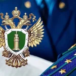 Суд Калмыкии вынес приговор по делу о хищении 24 млн рублей