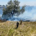 В Калмыкии за сутки произошло три ландшафтных пожара