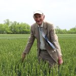 Борис Гольдварг: «овощная игла», зерновое изобилие и дисбаланс продуктовой корзины калмыцкого потребителя