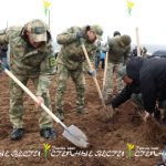 Калмыцкие степи укрепляют «зелеными щитами» благодаря акции «Сохраним лес»