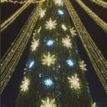 В Элисте установили главную елку Калмыкии