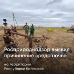 В Калмыкии выявили факт повреждения почвы с ущербом в миллион рублей