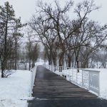 Февраль: пора цитировать Пастернака