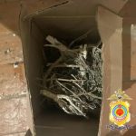 Житель Калмыкии подозревается в хранении наркотиков