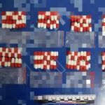 Жителя Калмыкии подозревают в незаконном обороте наркотических средств