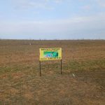 В Калмыкии стартовала весенняя посадка лесных культур