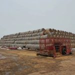 В Калмыкии подходит к концу зимовка скота