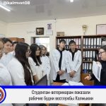 Будущие ветеринары Калмыкии познакомились с тонкостями профессии