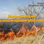 В Калмыкии усилили профилактику лесных пожаров среди населения