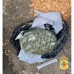 Жителя Элисты задержали за незаконный оборот наркотиков