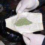 Полиция изъяла марихуану в домовладении элистинца